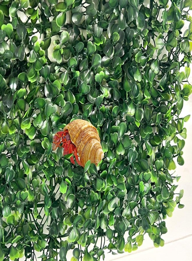 FMOACEN 2 PCS Hermit Crab Climbing Toys, Plastic Simulation Grass Aquarium Tank Decoration with 4 Suction Cups, Hermit Crab Green Plants Supplies Fake Turf, Accessories for Hermit Crab Reptile 10 x 10 Inch - Image 4